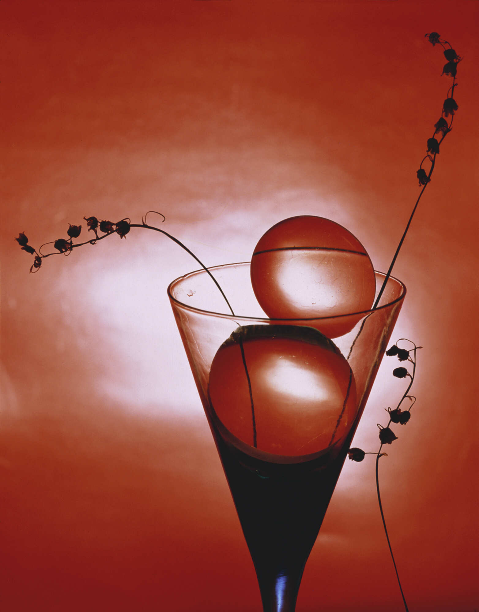 Винтажная фотография с изображением бокала