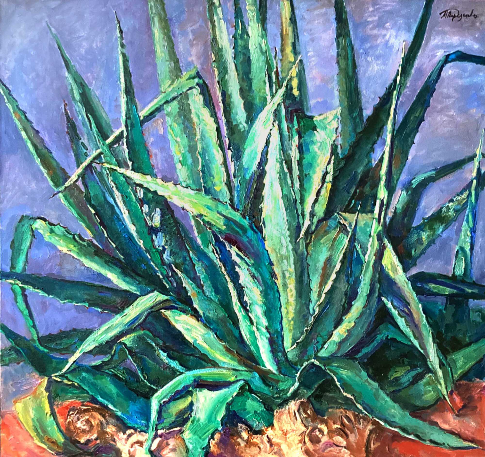 картина агава