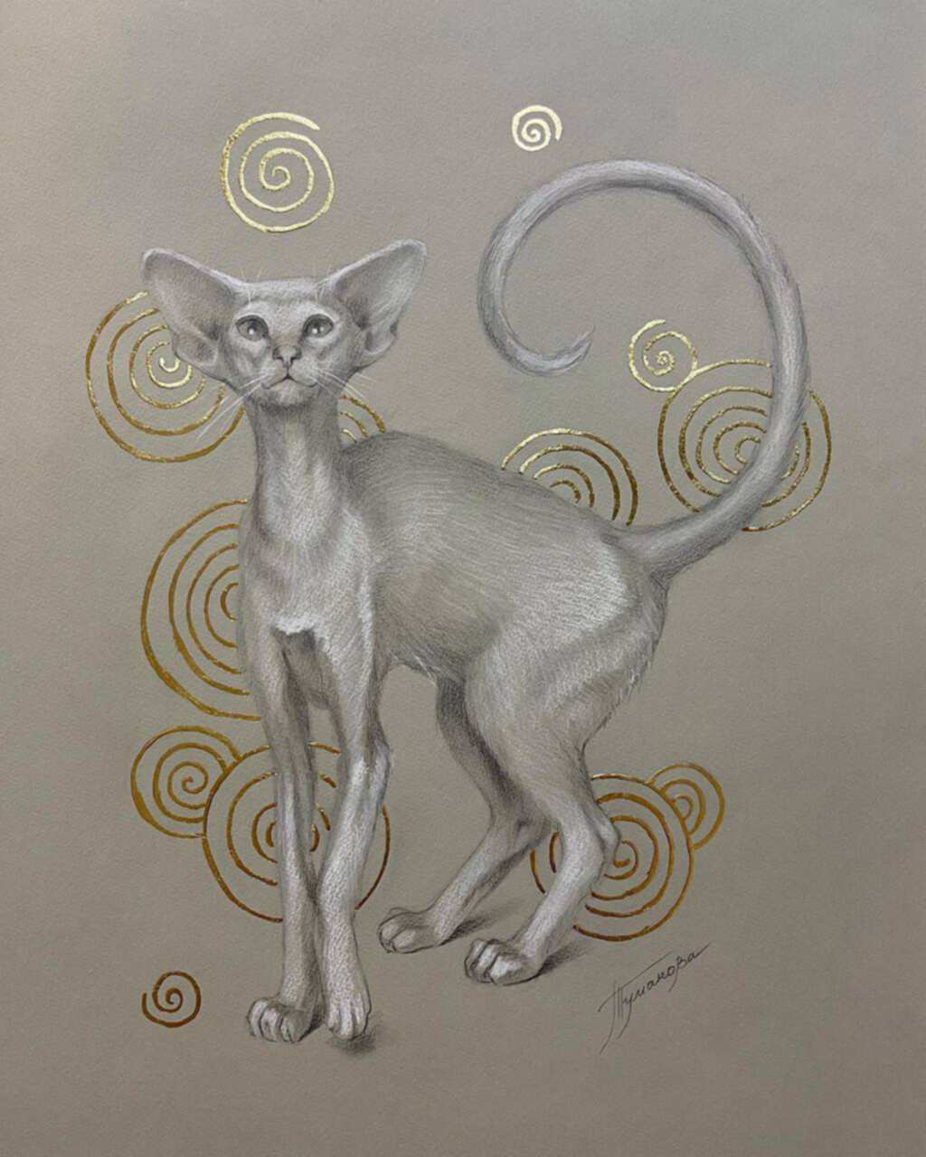 графика кот купить